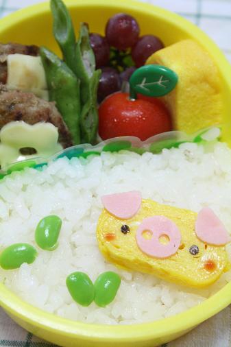 buta1108.JPG